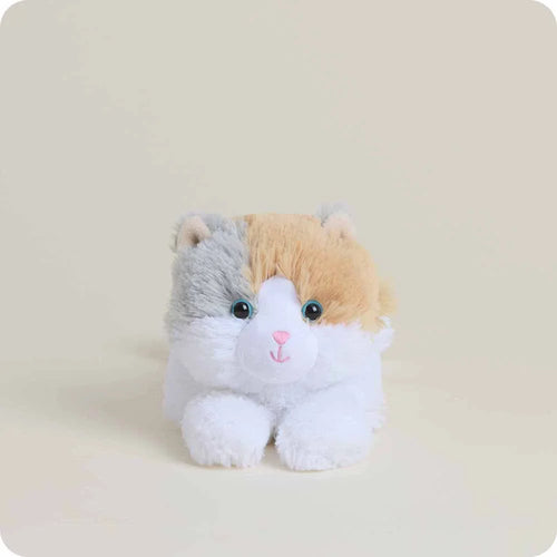 Calico Cat Warmies Junior